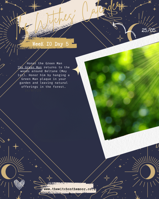 The Witches Calendar week 10 day 5