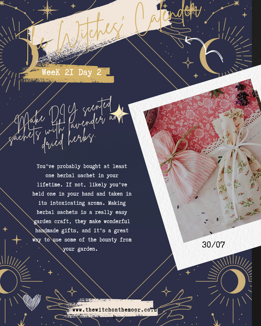 the witches calendar week 21 day 2