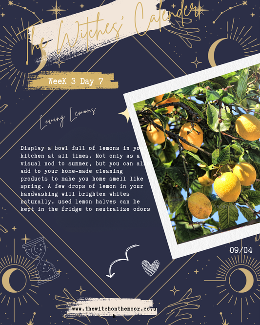 The Witches' Calendar Week 3 Day 7