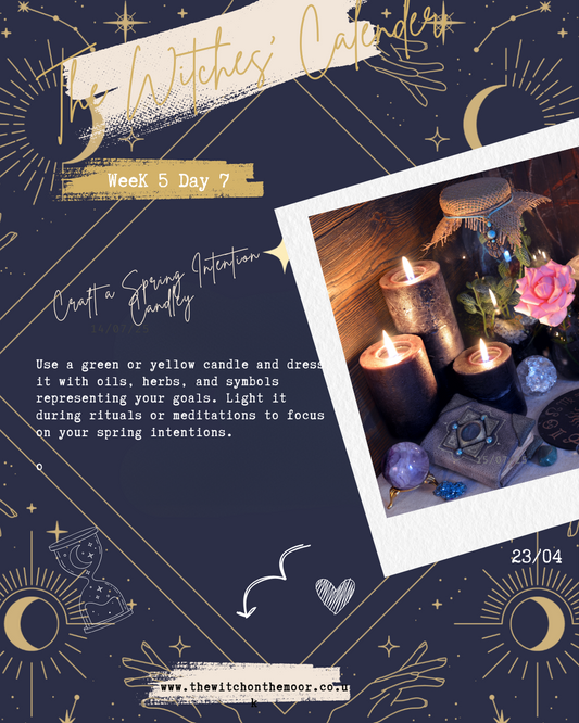 The Witches Calendar Week 5 Day 7