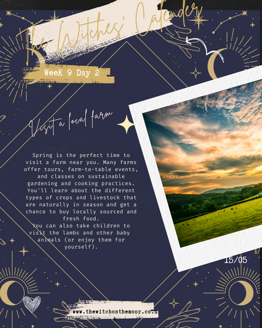 The Witches Calendar week 9 day 2