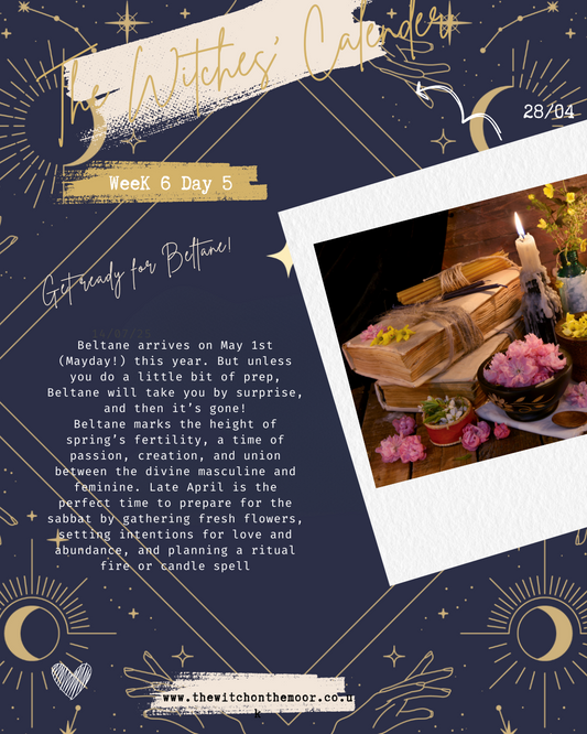 The Witches Calendar Week 6 Day 5