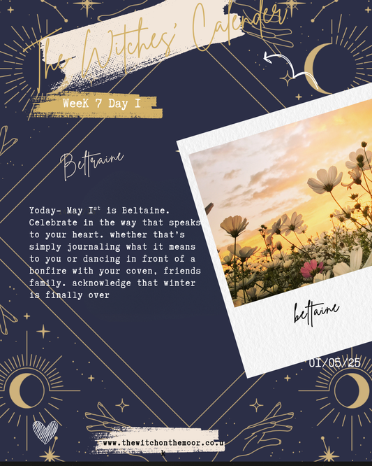 The Witches Calendar Week 7 Day 1