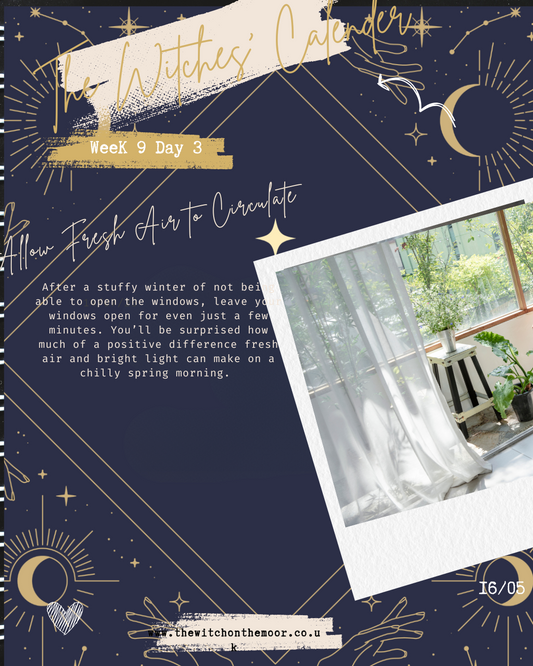 The Witches Calendar week 9 day 3